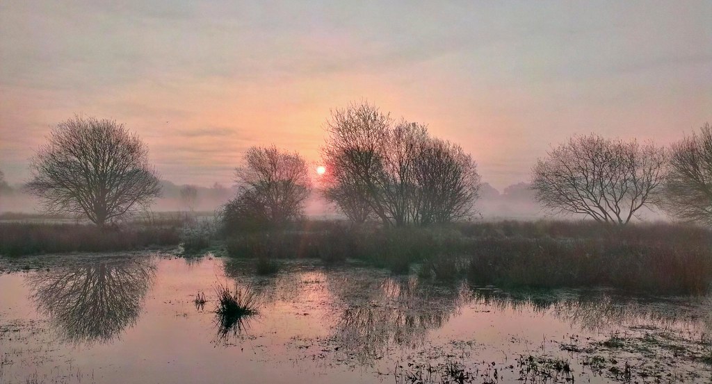 Sunrise at Wanstead flats Sunrise Thomas Godfrey Flickr