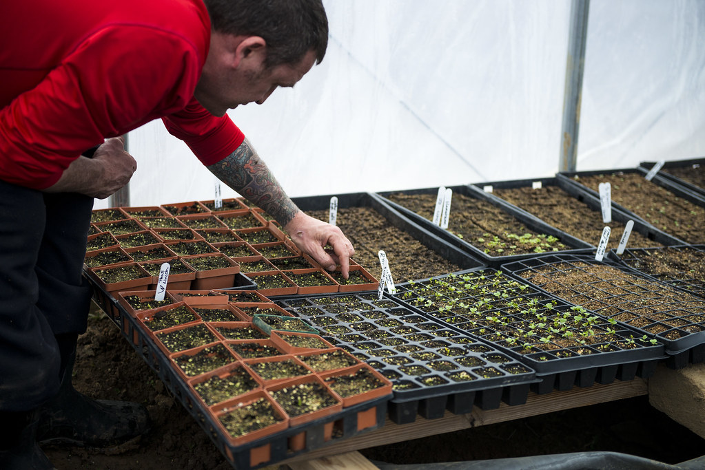 20170325_RI_CHERRY VALLEY COOP WEEK 2_WORKING_14 Landmark Hospitality