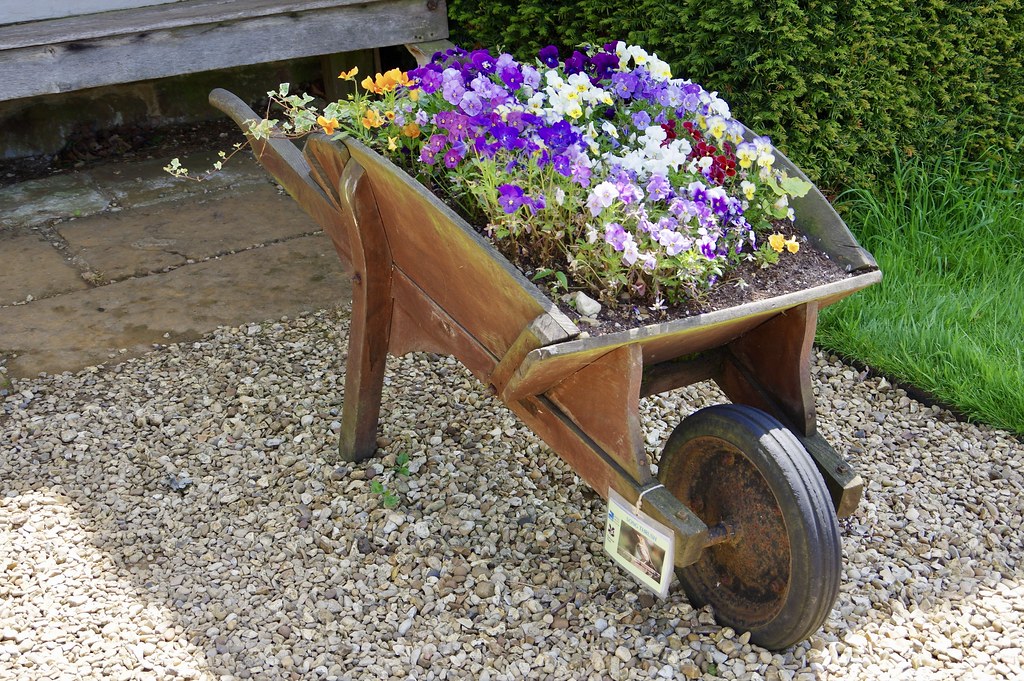 Wheelbarrow Flowers Canons Ashby, Northamptonshire David Merrett