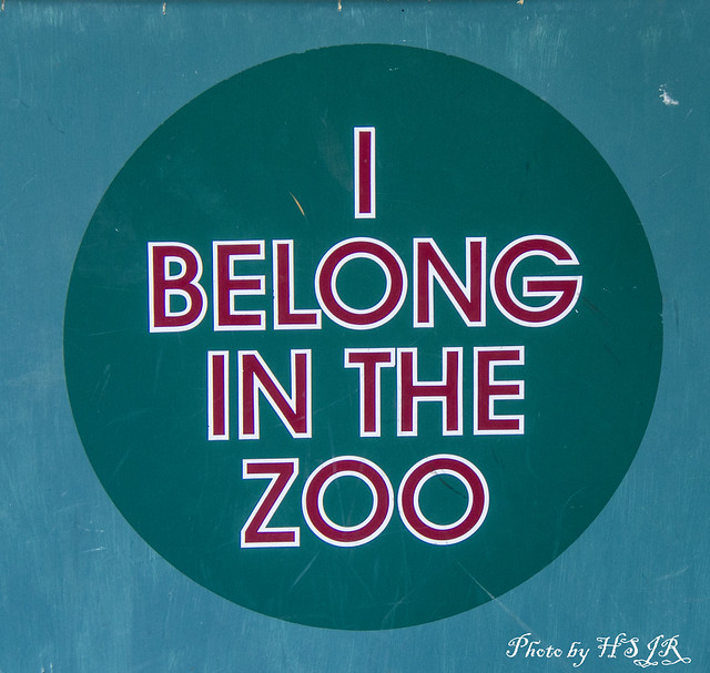 Asheboro Zoo 3 a photo on Flickriver