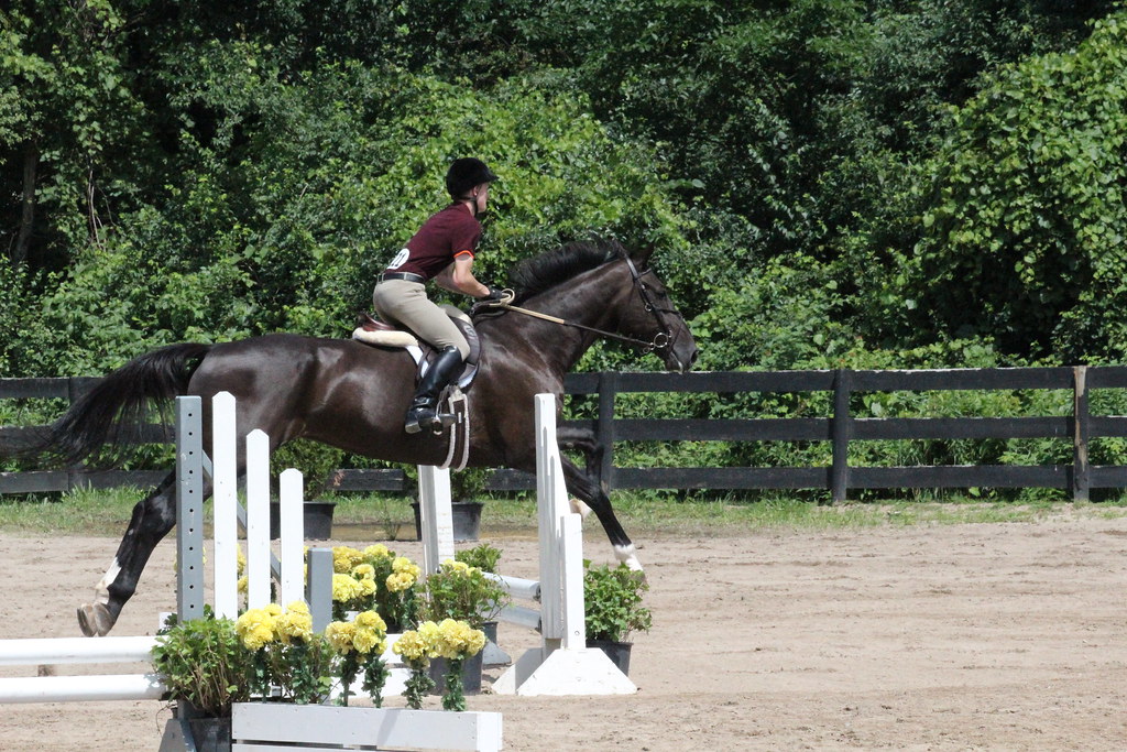 06/30/2013 McIntyre School Show Flickr