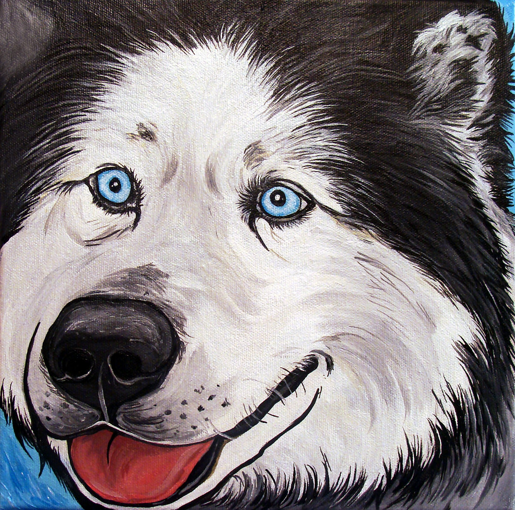 Siberian Husky Painting Xander Acrylic on canvas, 10x10".… Flickr