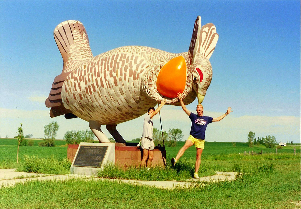 Booming Prairie Chicken, Rothsay, MN Booming Prairie Chick… Flickr