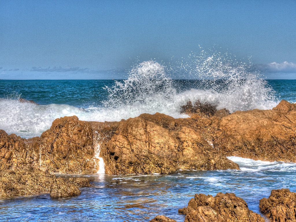 Esplanade Wellington 3 Scott MacDonald Flickr