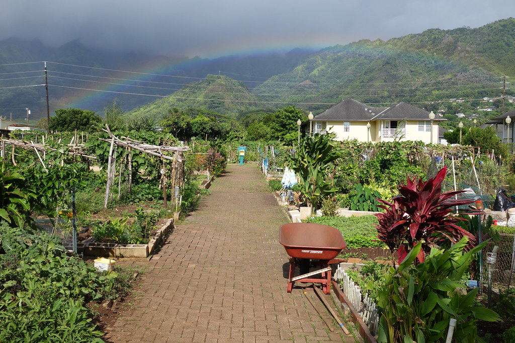 Rainbow at Manoa Community Gardens a photo on Flickriver