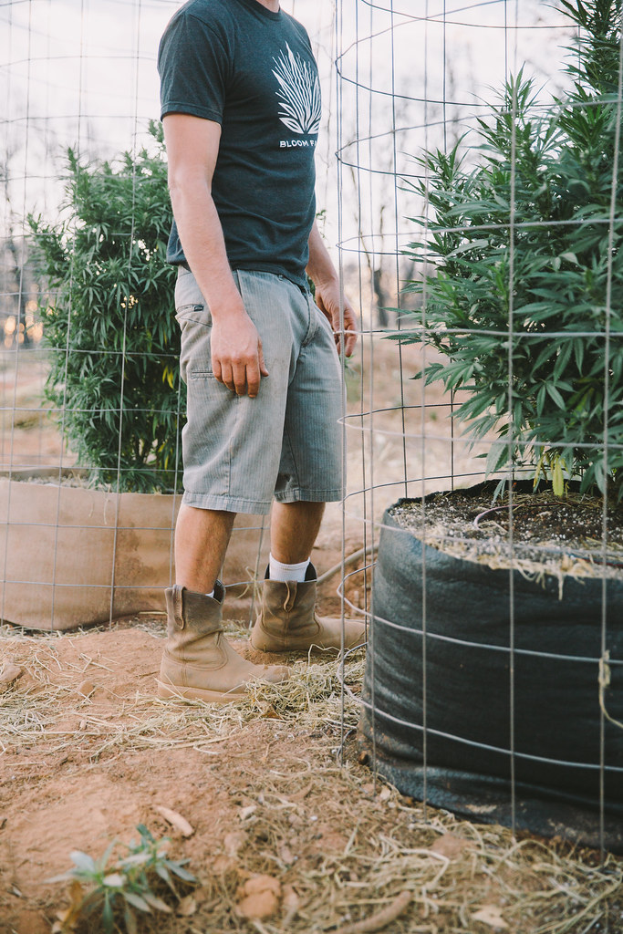 0G0A0969 Bloom Farms Flickr