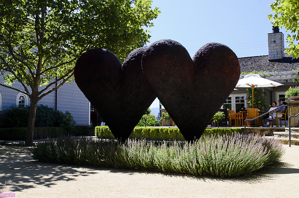 2 + 2 = Cliff Lede Vineyards, Napa, CA Roi Flickr