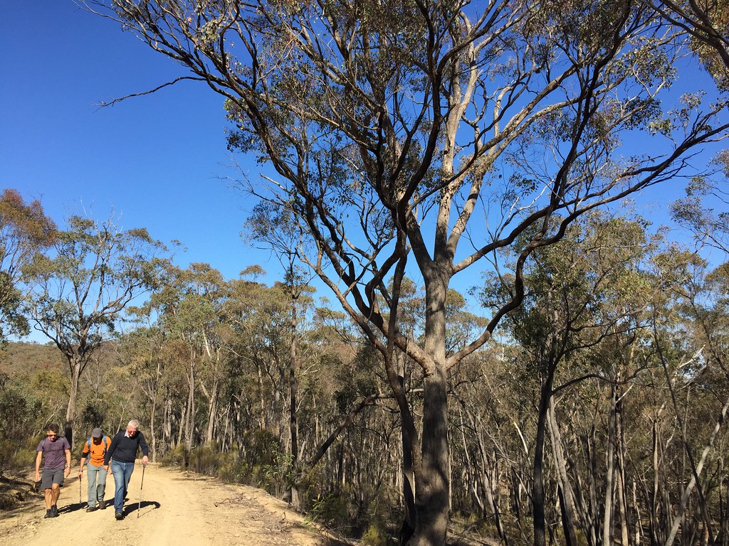 Castlemaine Heritage Park Bex hikes around Castlemaine on … Flickr