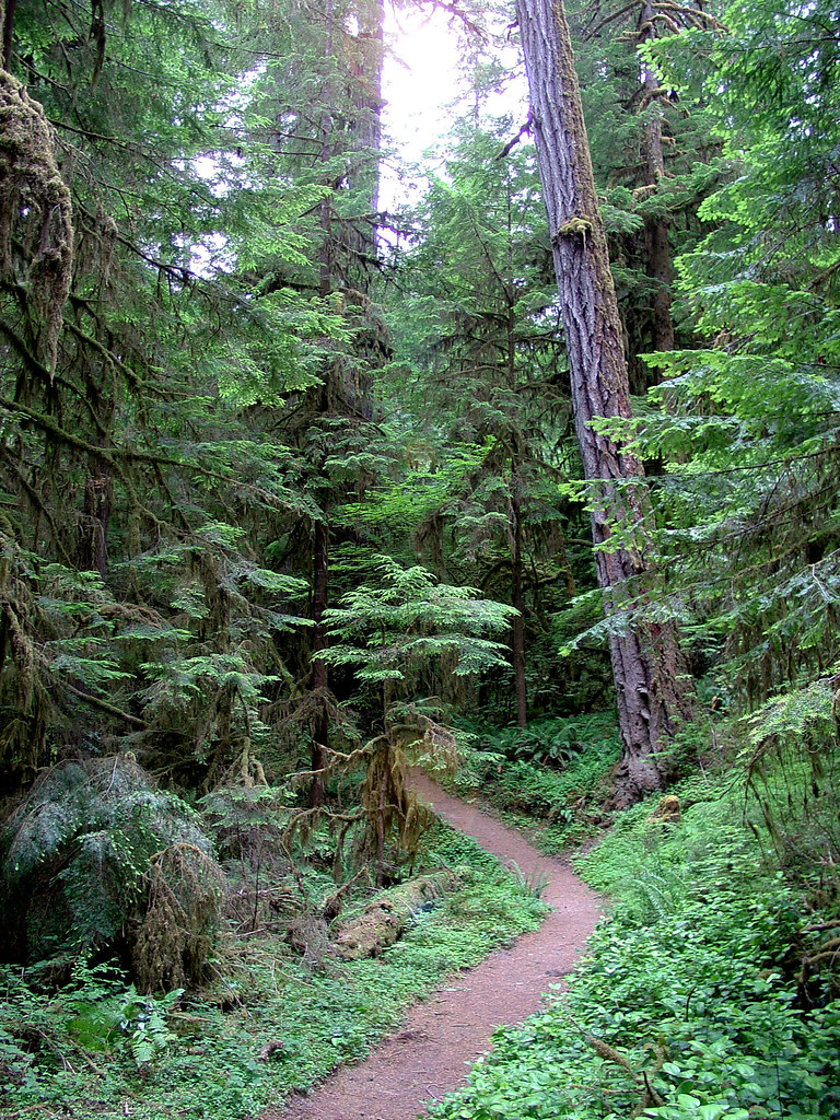 Wolf Creek Falls Trail Pack a lunch in your backpack and h… Flickr