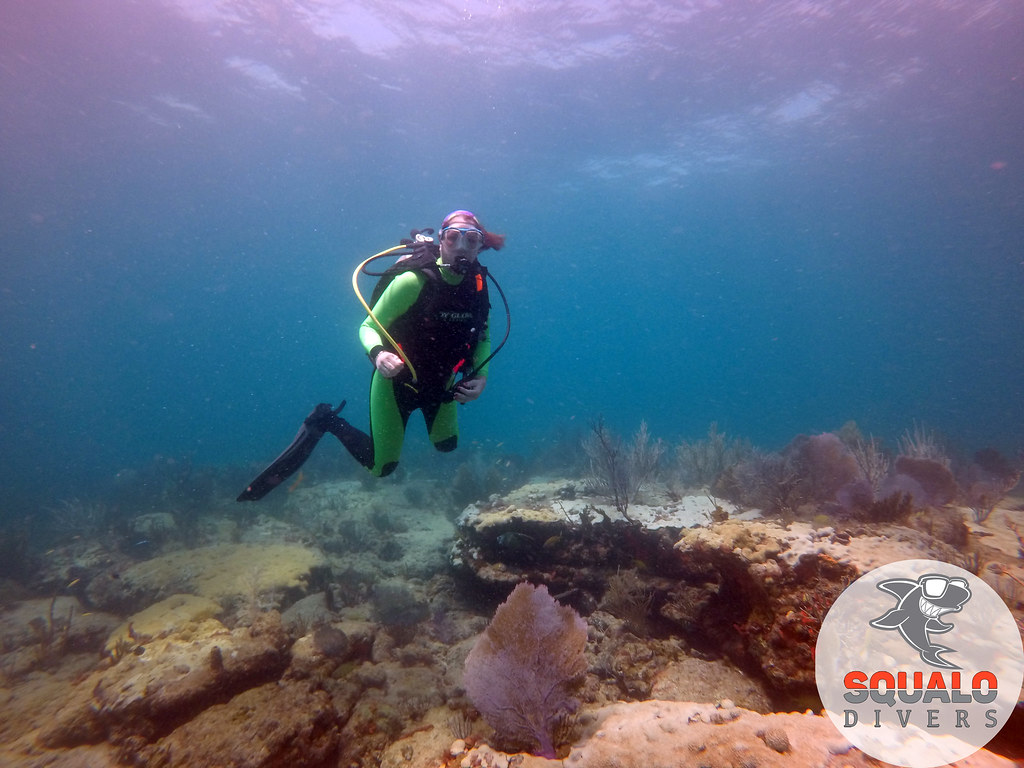 Fort Lauderdale, FLScuba DivingApril 201797 Squalo Divers Flickr