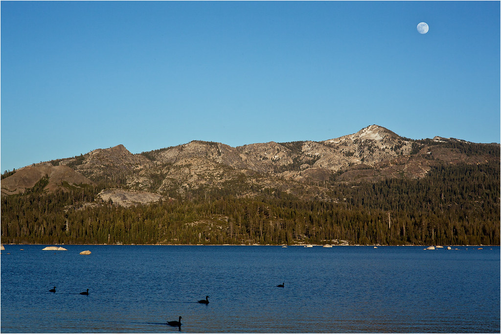 Camping Loon Lake, CA bluebora20v Flickr