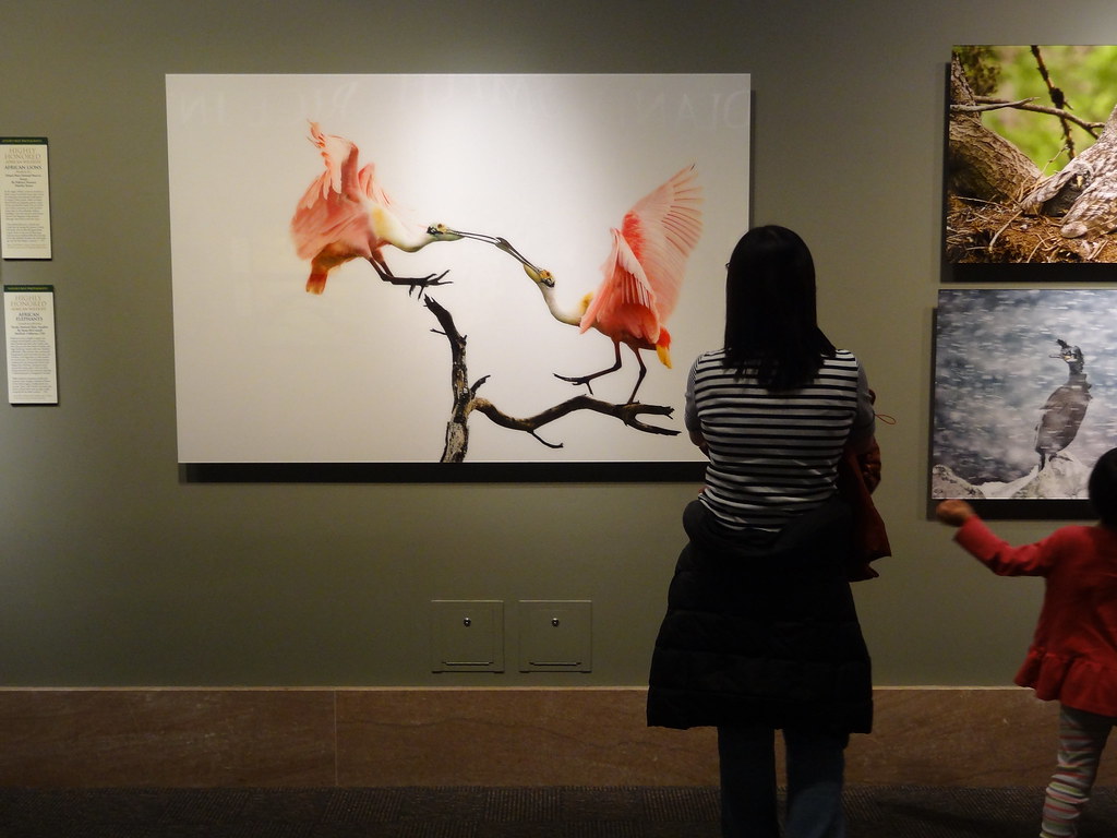 Nature's Best Photography Windland Smith Rice Internation… Flickr