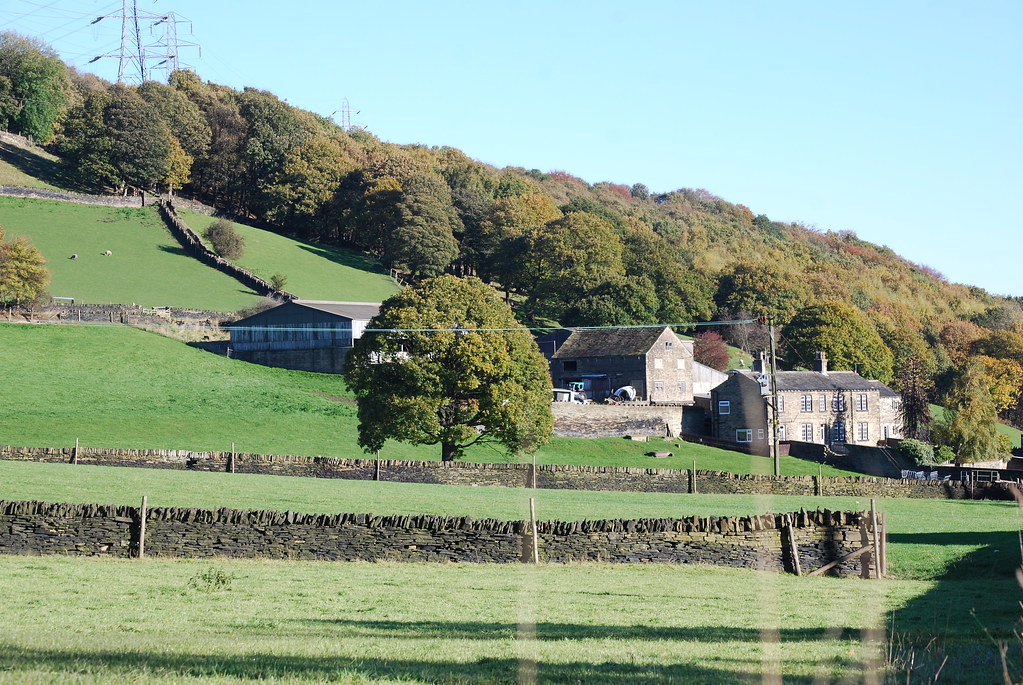 Cromwell Farm The woods leading up to Southowram Mike Halliwell