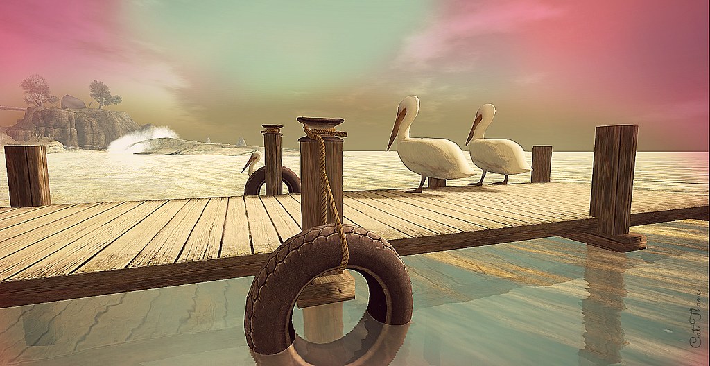 Brandy Wine Island catthane Flickr