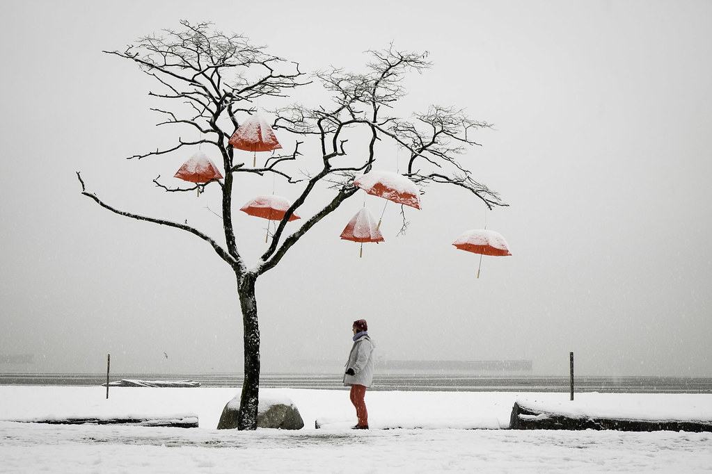 Umbrella (Explore!) In celebration of Vancouver's rain som… Flickr