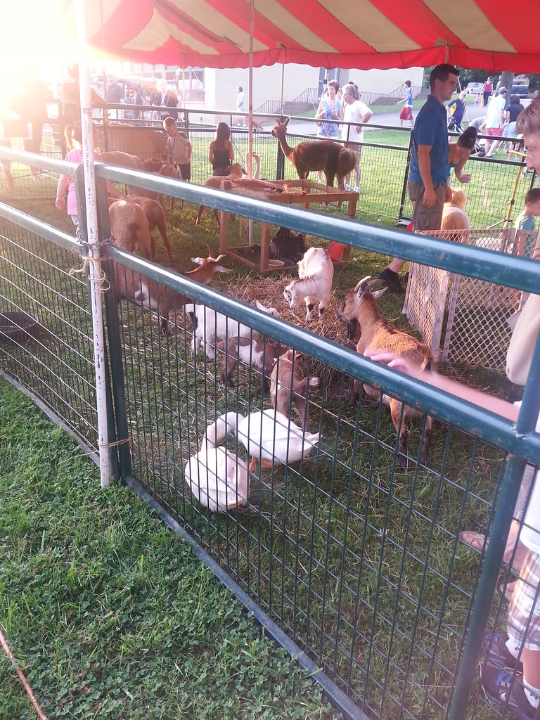 Petting Zoo courtney Flickr