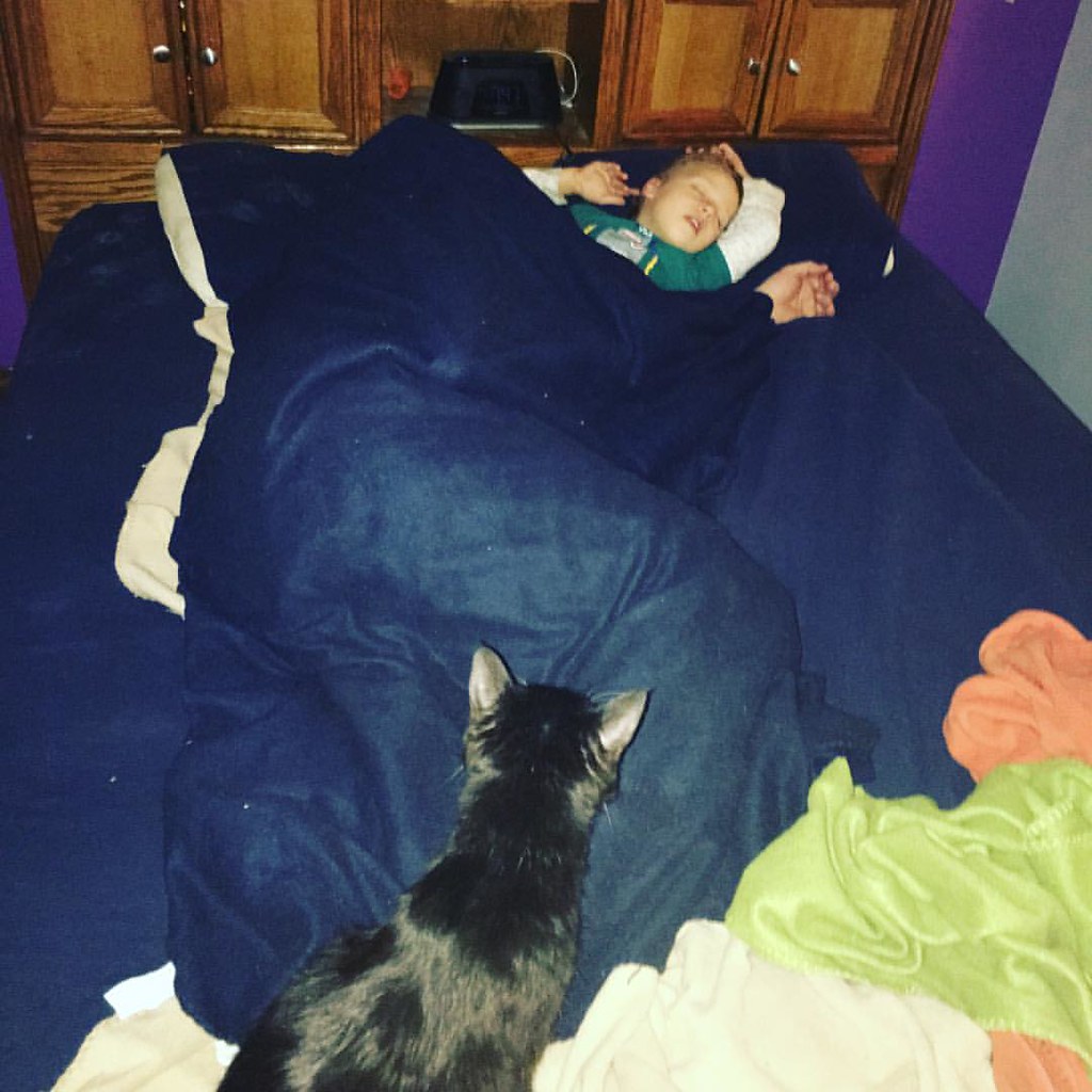 Friday's are exhausting! 😂 friday tgif sleep sleepy … Flickr