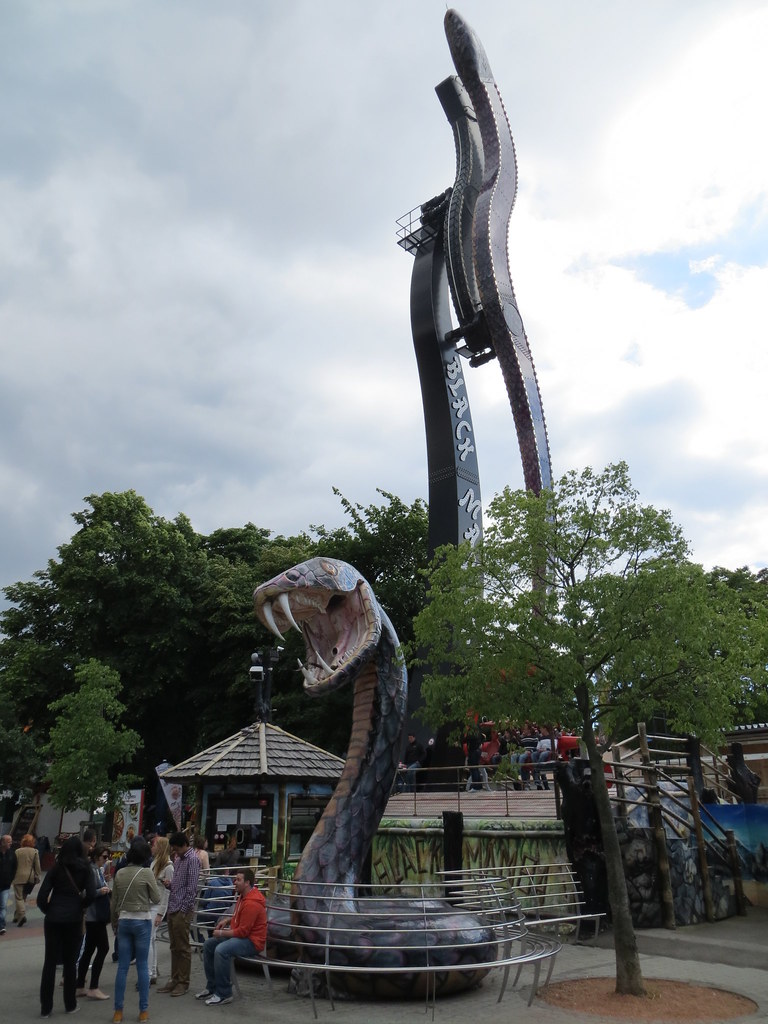 2013052686 Vienna (Wien), AustriaPrater (Black Mamba) Wayne