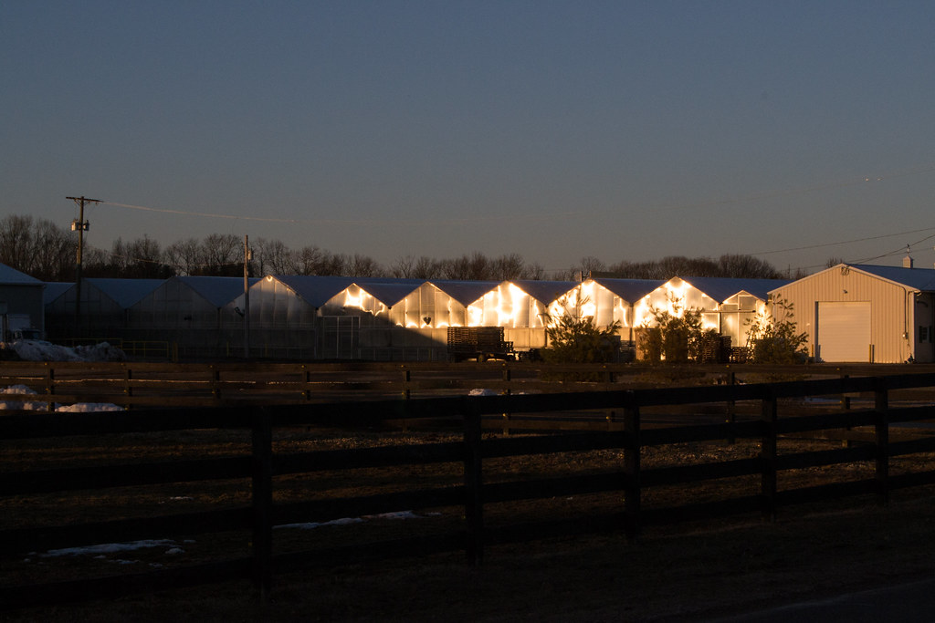 Sunset Greenhouses Gregory Drew Flickr