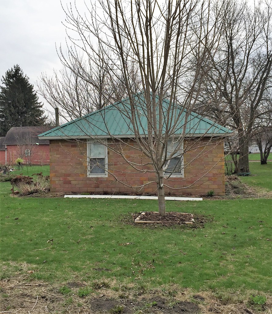 Dumont, Iowa Good Friday 20170414 306PM IMG_1713 tofightfortheright