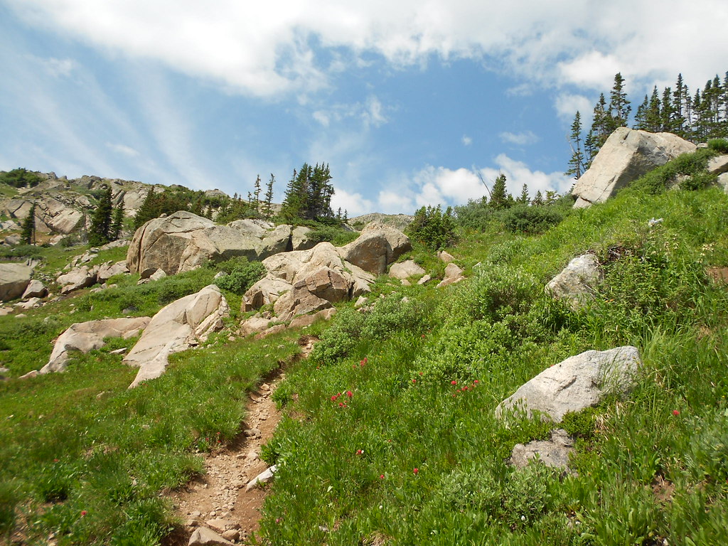 King Lake Drainage Trail July 27, 2013 What a fun and enga… Flickr