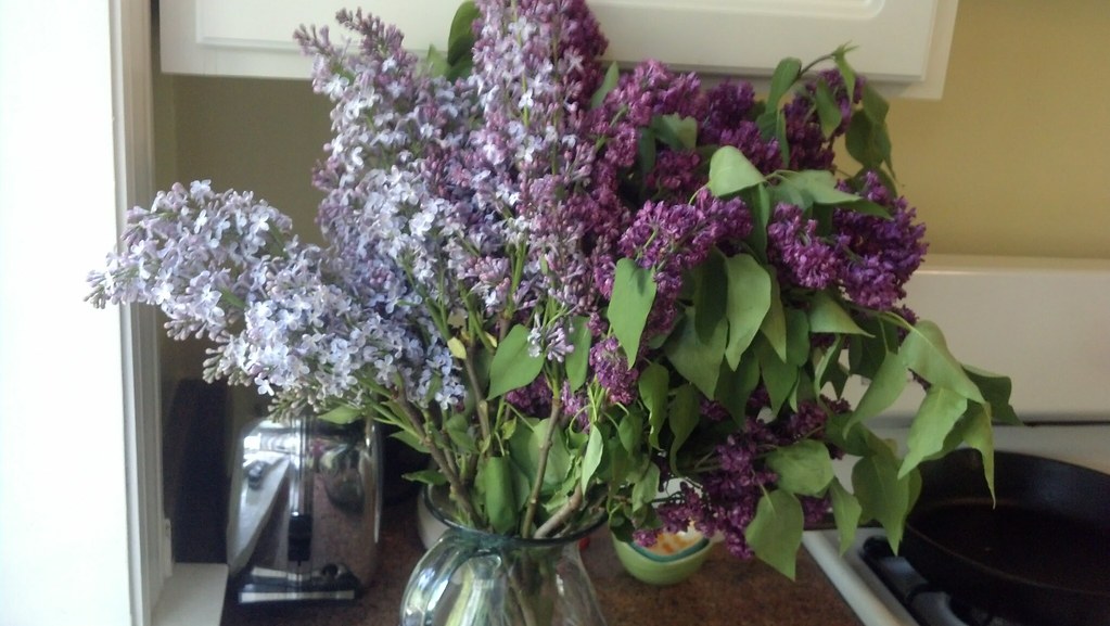 When lilacs last in the dooryard bloomed Market goodies fo… Flickr