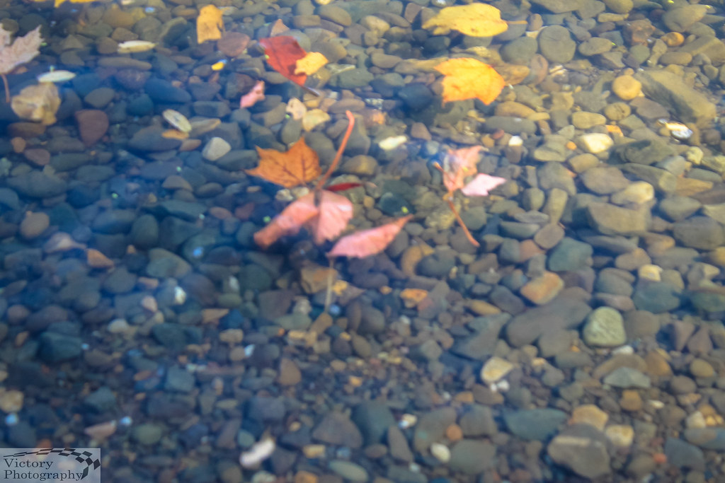 Kowawese Unique Area at Plum Point New Windsor, New York O… Flickr