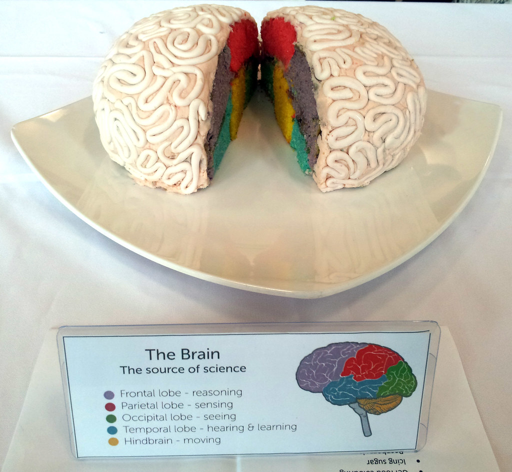 Entry 4 The Brain This cake came a close second in our jo… Flickr
