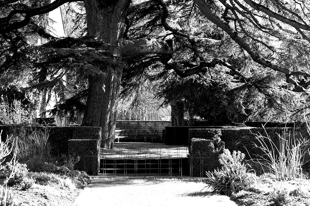 Cedar of Lebanon at Hidcote Gardens Matt Elsdon Photography Flickr