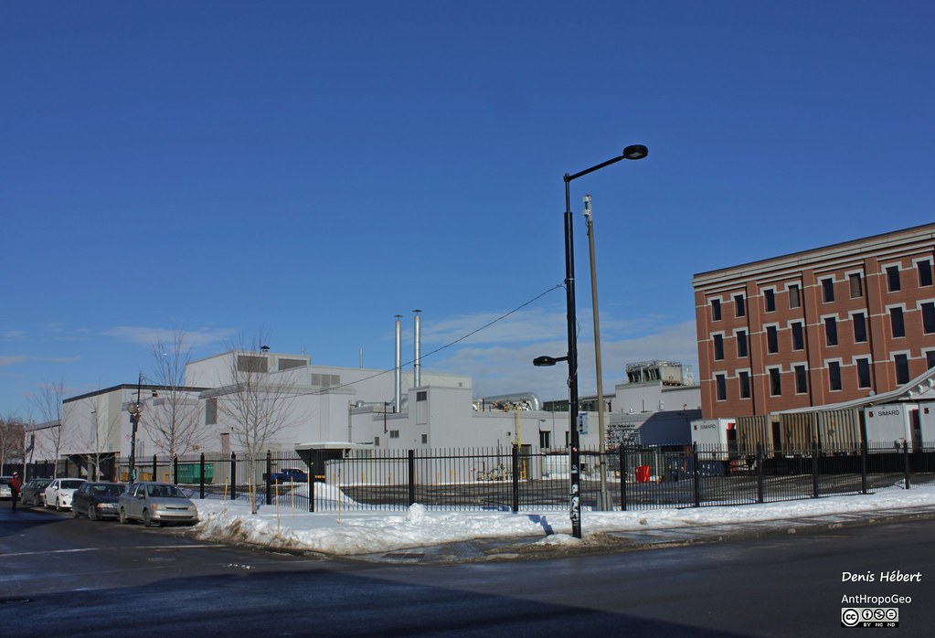 Ontario/Dufresne Chat d'Ruelle Flickr