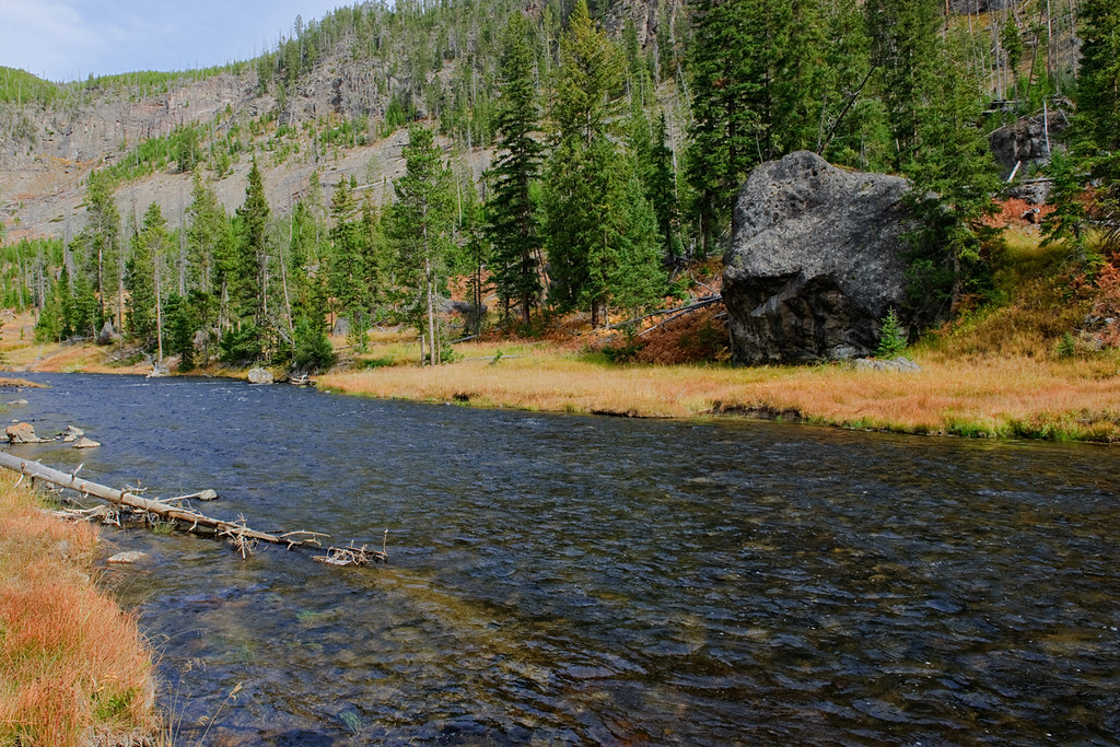 Gibbon River A rather large pebble along the shore of the … Flickr