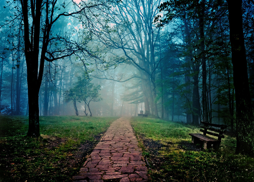 Elevation of Flat Top Rd, Shady Spring, WV, USA Topographic Map