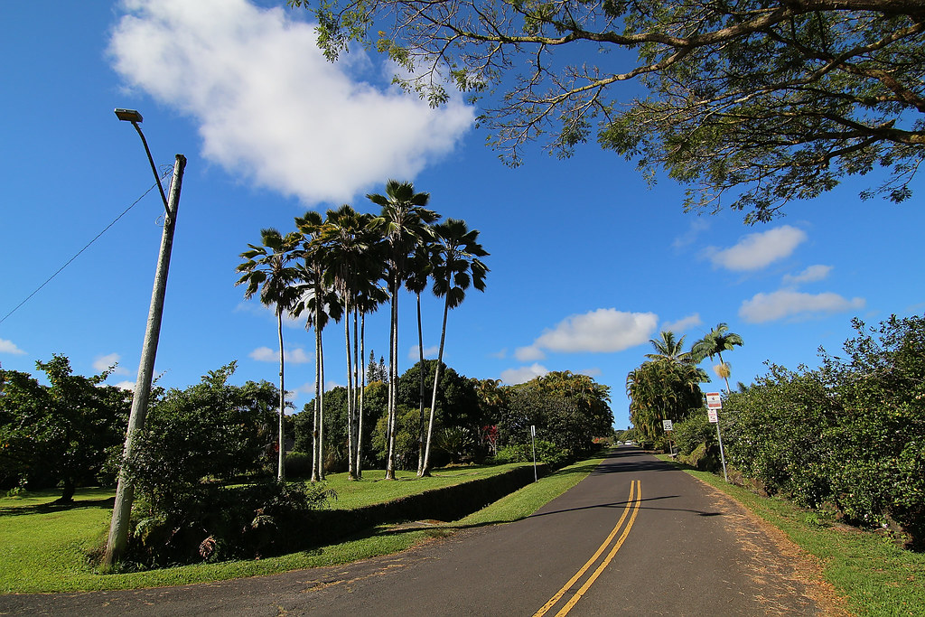 Wailuku Drive Hilo, Hawaii sodai gomi Flickr