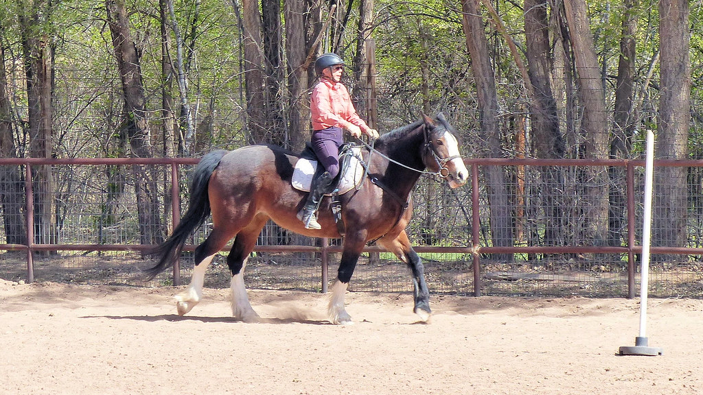 Corrales Topform Arena Corrales, New Mexico. Corrales Park… Flickr