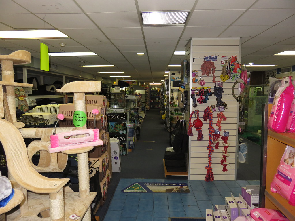 Toucan Pet Centre Relocating A basement store that has bee… Flickr
