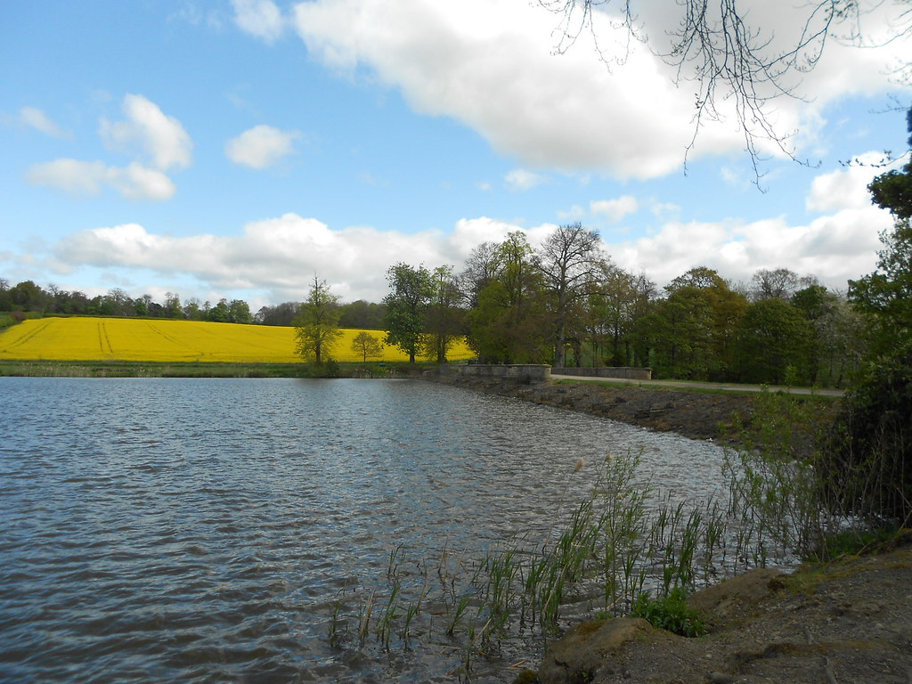 Cycled to dog kennel and Morley ponds, bloody freezing whe… Flickr