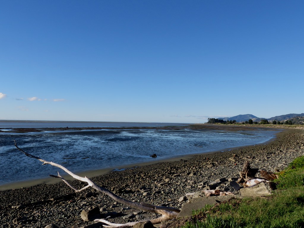 Elevation of Stoke, Nelson, New Zealand Topographic Map Altitude Map