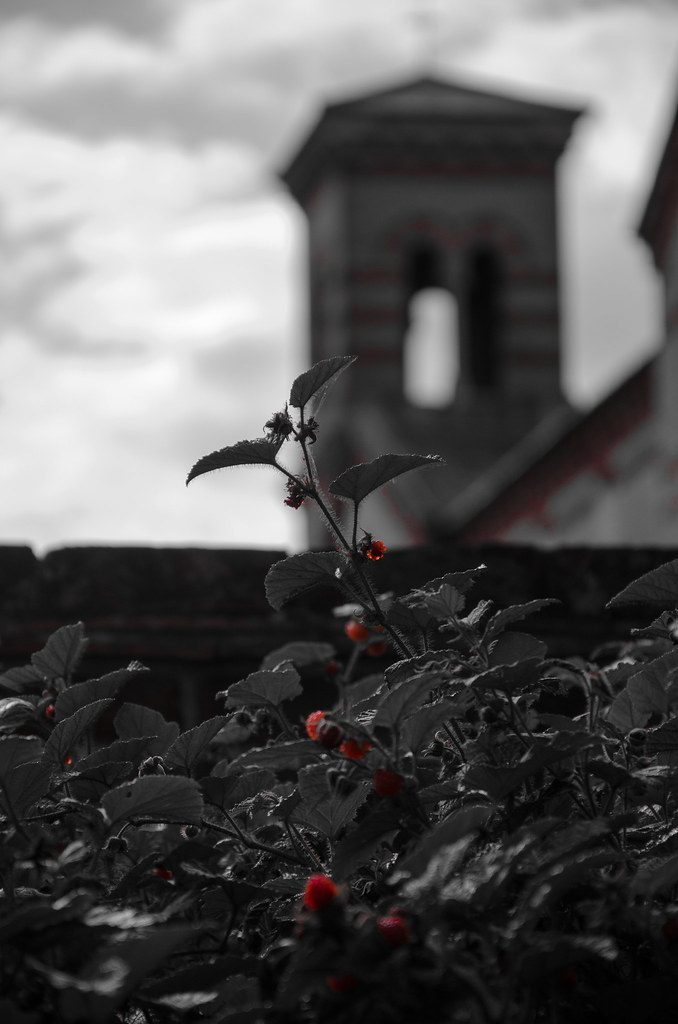 southdown park haywards heath southdown park haywards heat… Flickr