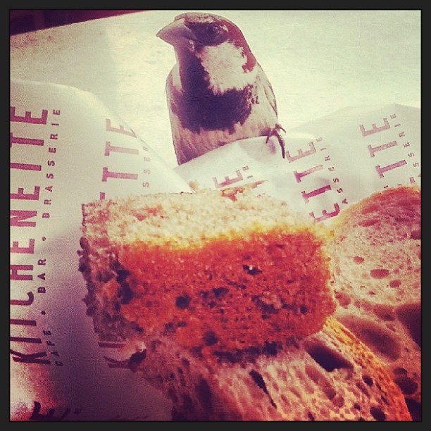 kanyon istanbul cumartesi breskfast bird… Flickr