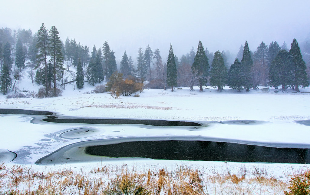 Frosty! Fresh snow falls at Jackson Lake near Wrightwood, … Flickr