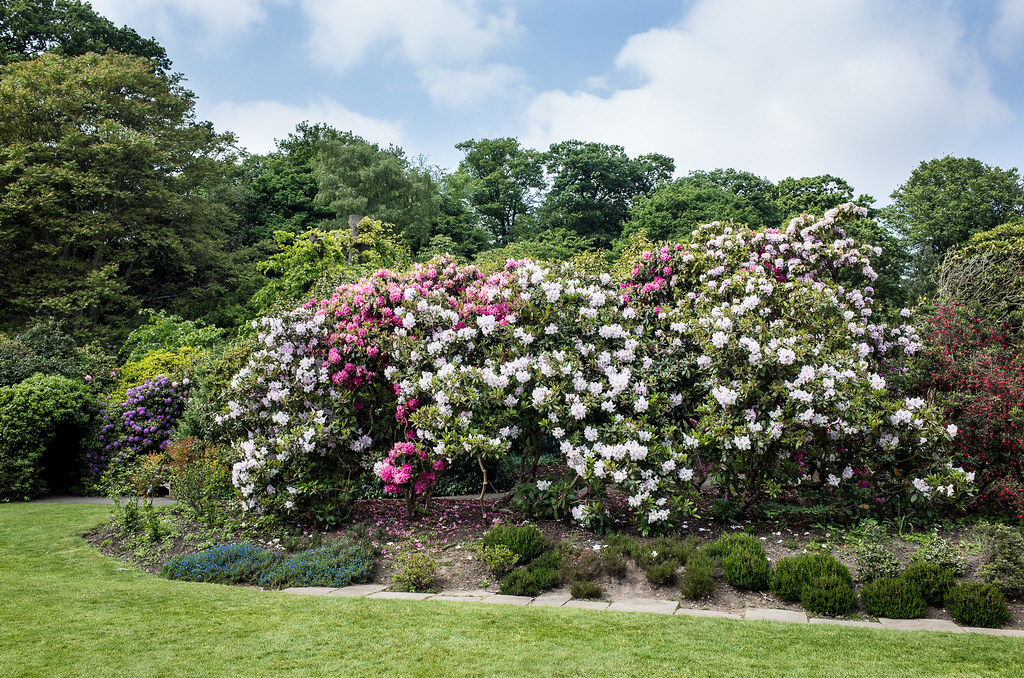 Kenwood House gardens Kim Hawkins Flickr