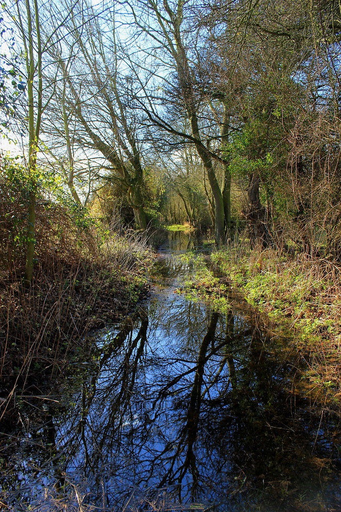 Country lane Longmere Lane Soham I normally walk this ro… Flickr