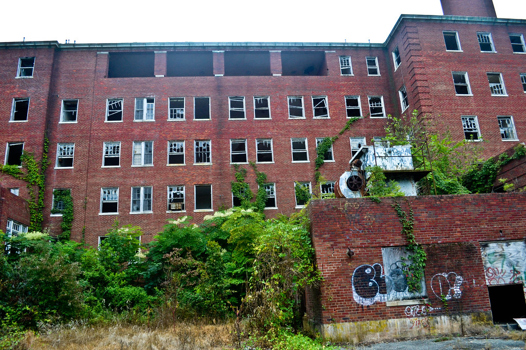 DSC_0685 Leah__Goldberg Flickr