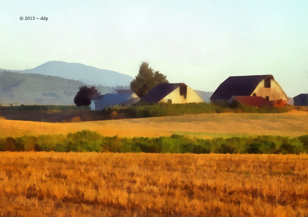 Eureka Barns Marys Peak Painterly EXPLORED (IMG_2253… Flickr