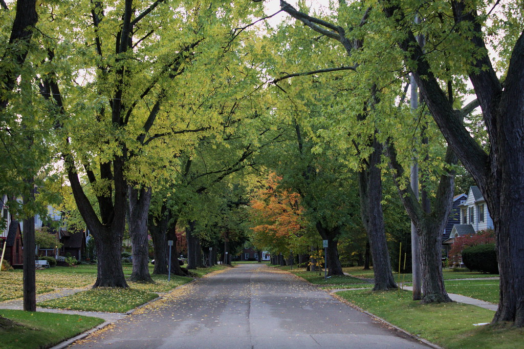 Maxine in the College Cultural Area of Flint, Michigan Flickr