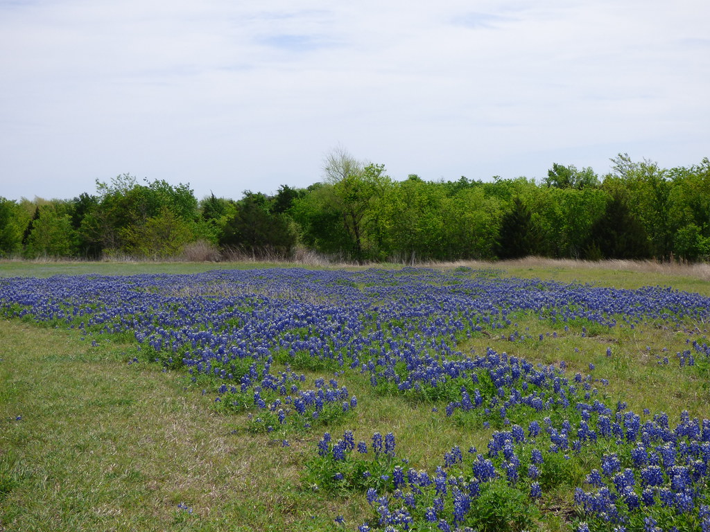 Heritage Park, Sachse, Texas April 4, 2017 Robert