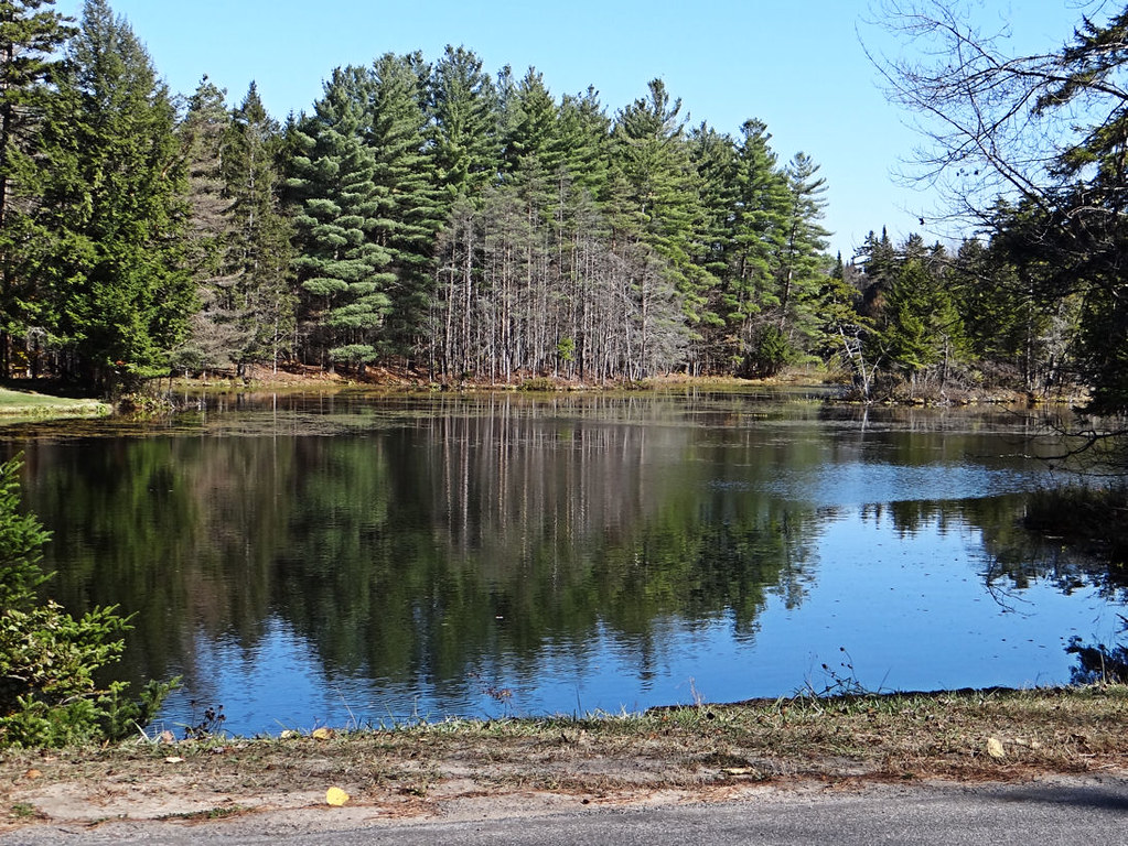 Elevation of Wheelertown Rd, Remsen, NY, USA Topographic Map