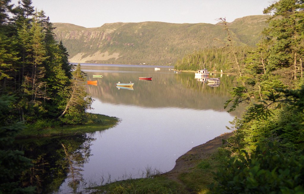 White Bear Bay, Newfoundland Lolly Cove. Roger Carter Flickr