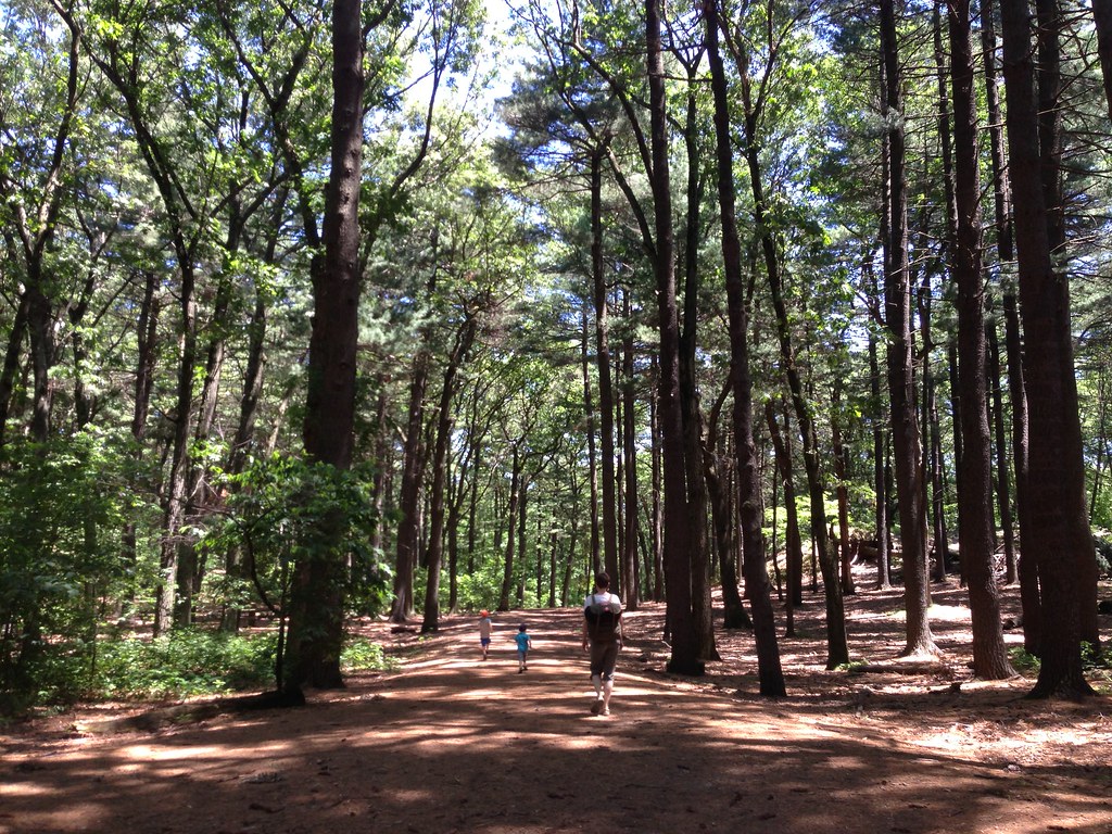 A walk thru the woods in Arlington Juhan Sonin Flickr