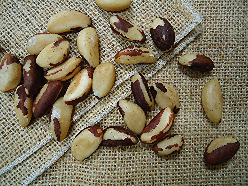 Brazil nuts MAURO CATEB Flickr